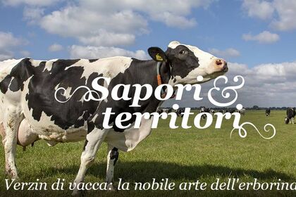 Sapori & Territori: Verzin di vacca