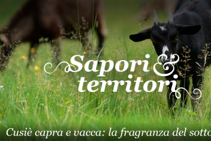 Sapori & Territori: Cusiè capra e vacca